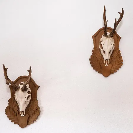 Bernstein Apartman *