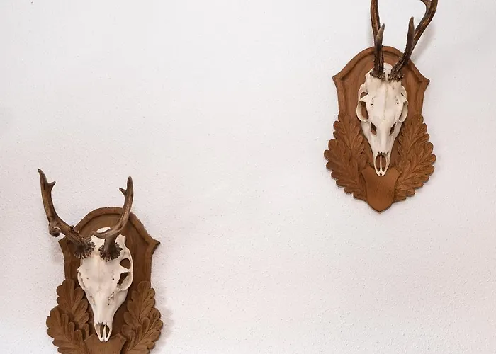 Bernstein Апартаменти *